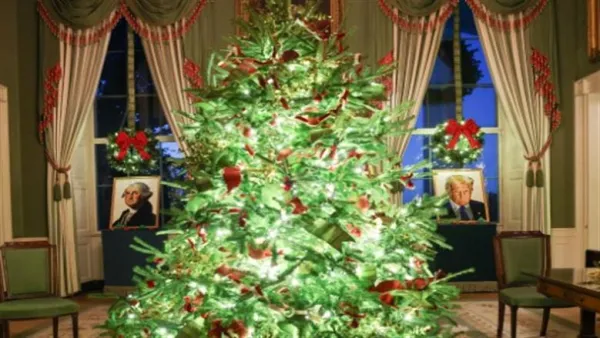 أدوات بسيطة.. كيف تصنع شجرة الكريسماس في 10 دقائق من داخل منزلك؟