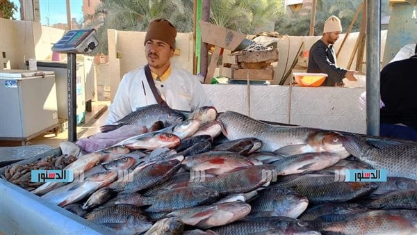 تزامنا مع أعياد الميلاد.. محافظة الوادي الجديد توفر خضراوات وأسماك ولحوم طازجه للمواطنين