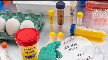 في خطوة استباقية لقاح تجريبي يستهدف أنفلونزا الطيور قبل تحولها