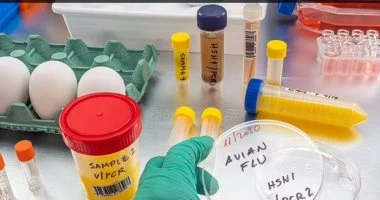 في خطوة استباقية.. لقاح تجريبي يستهدف أنفلونزا الطيور قبل تحولها إلى جائحة بشرية.