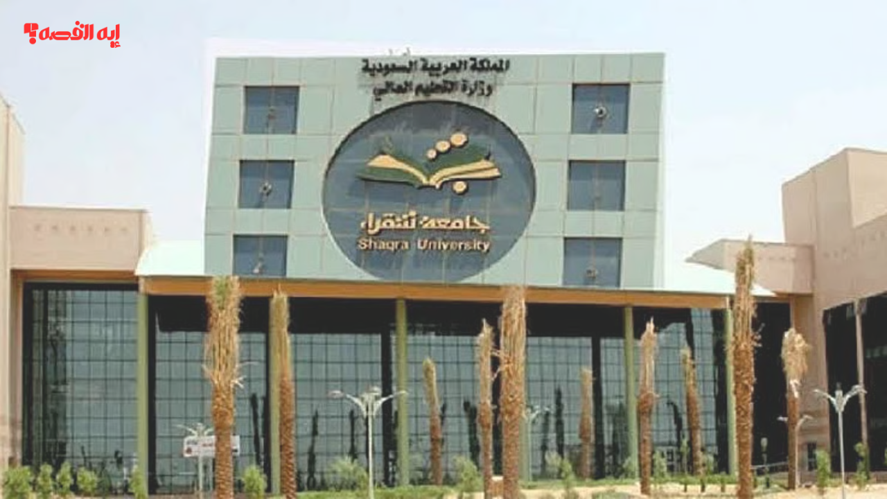 ملف أزمة تفريغ الأساتذة في جامعة شقراء تثير تساؤلات حول كفاءة الإنفاق واللوائح والمخالفات