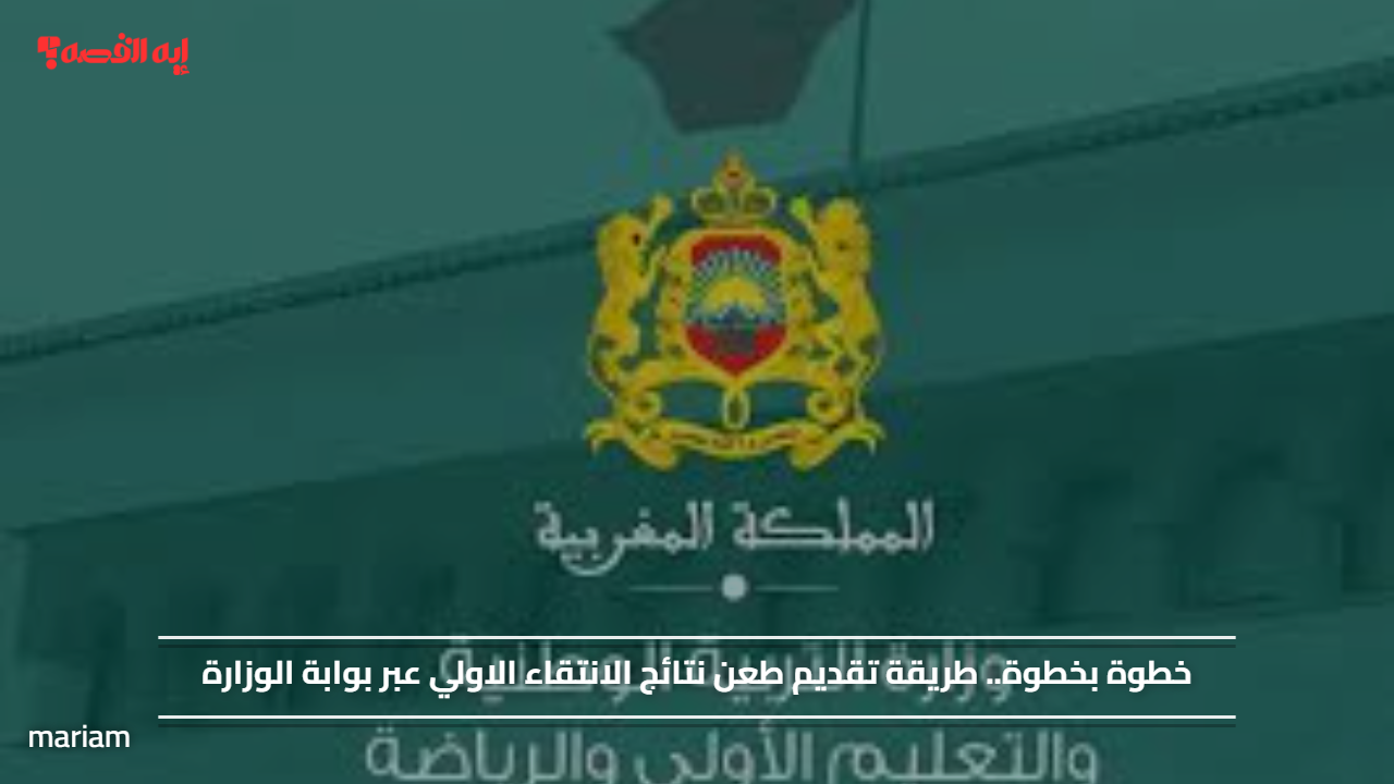 خطوة بخطوة.. طريقة تقديم طعن نتائج الانتقاء الاولي عبر بوابة الوزارة