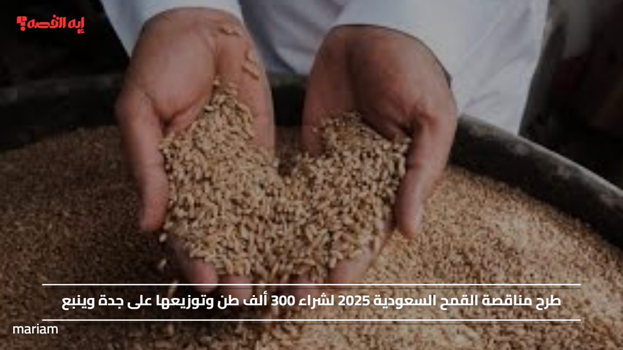 طرح مناقصة القمح السعودية 2025 لشراء 300 ألف طن وتوزيعها على جدة وينبع