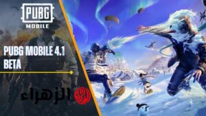 شحن شدات ببجي