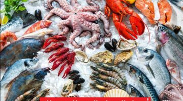 Screenshot 2025 11 23 234018