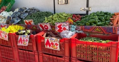 أسعار الخضراوات بمحافظة المنيا الاثنين 24 نوفمبر 2025 بأحدث التفاصيل