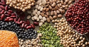 أسعار الفول البلدي وأبرز البقوليات في كفر الشيخ الجمعة 21 نوفمبر 2025