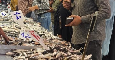 استقرار أسعار الأسماك في دمياط اليوم يبدأ من 30 جنيهًا بمختلف الأنواع