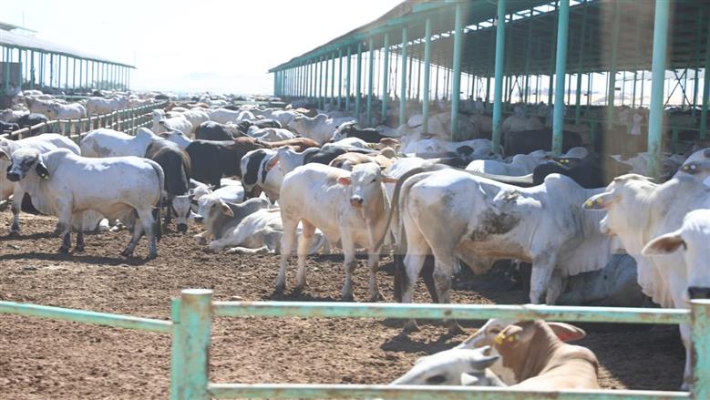 الفرصة الذهبية.. إنشاء مشروع زراعي حكومي برأس مال قليل في 2024