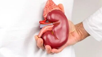 تدهور وظائف الكلى يتسارع عالميًا ويتحول إلى وباء صامت يهدد