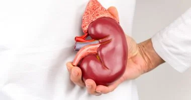 تدهور وظائف الكلى يتسارع عالميًا ويتحول إلى وباء صامت يهدد الملايين.