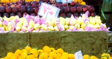 تراجع الأسعار في المنوفية.. الطماطم بـ9 جنيهات وأبرز أسعار الخضار والفاكهة السبت