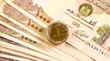 سعر الدرهم الإماراتي مقابل الجنيه المصري اليوم الخميس 20 11 2025 وتأثيره