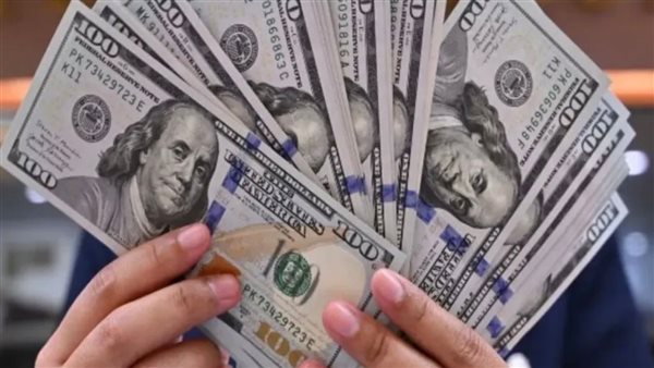 سعر الدولار في مصر يحقق تقلبات غير متوقعة السبت 22 نوفمبر 2025