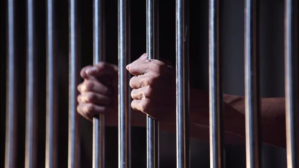 فتيات يلاحقن منتجًا بسيارتهن في الشيخ زايد.. والأخير يتهمهن بالاعتداء عليه