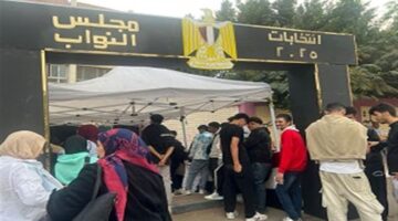 كيف تعرف لجنتك الانتخابية خلال ثوانٍ برقمك القومي فقط في