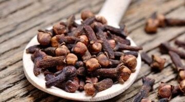 مضغ القرنفل بانتظام وسيلة طبيعية لتعزيز المناعة وضبط مستويات السكر