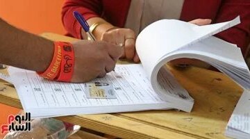 من المدرجات إلى صناديق الاقتراع كيف تحول شعار الأهلي إلى