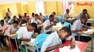 نتيجة الشهادة الابتدائية ولاية الجزيرة