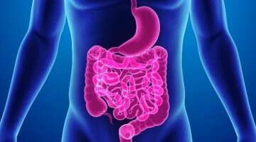 وداعًا للانتفاخ والكسل تطهير القولون طبيعيًا يبدأ من 7 أطعمة