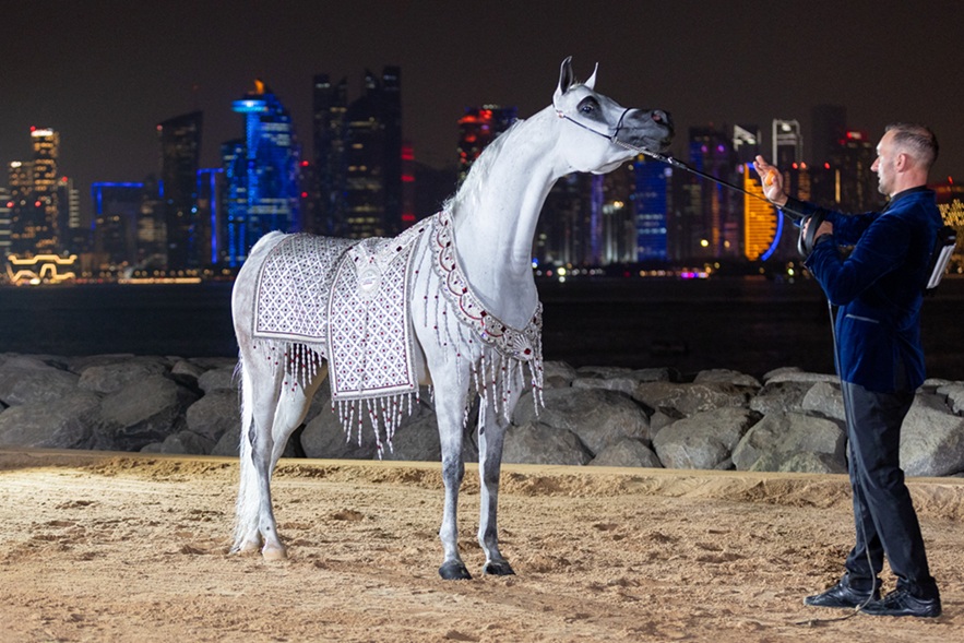 صور وأبطال.. الختام المبهر لبطولة العالم للخيل العربية 2025 يخطف الأنظار 11 صور وأبطال.. الختام المبهر لبطولة العالم للخيل العربية 2025 يخطف الأنظار