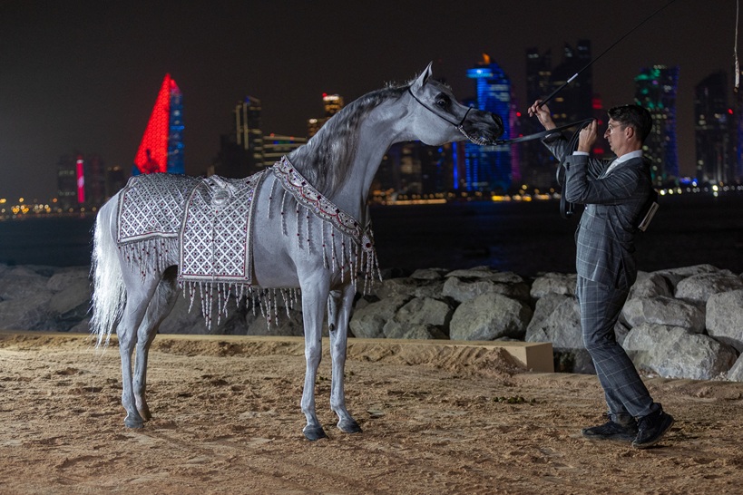 صور وأبطال.. الختام المبهر لبطولة العالم للخيل العربية 2025 يخطف الأنظار 13 صور وأبطال.. الختام المبهر لبطولة العالم للخيل العربية 2025 يخطف الأنظار