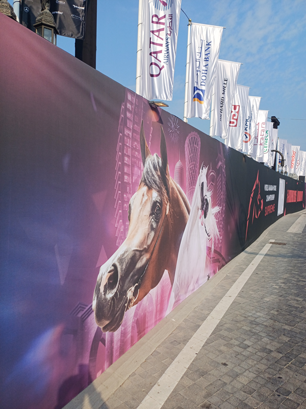 صور وأبطال.. الختام المبهر لبطولة العالم للخيل العربية 2025 يخطف الأنظار 7 صور وأبطال.. الختام المبهر لبطولة العالم للخيل العربية 2025 يخطف الأنظار