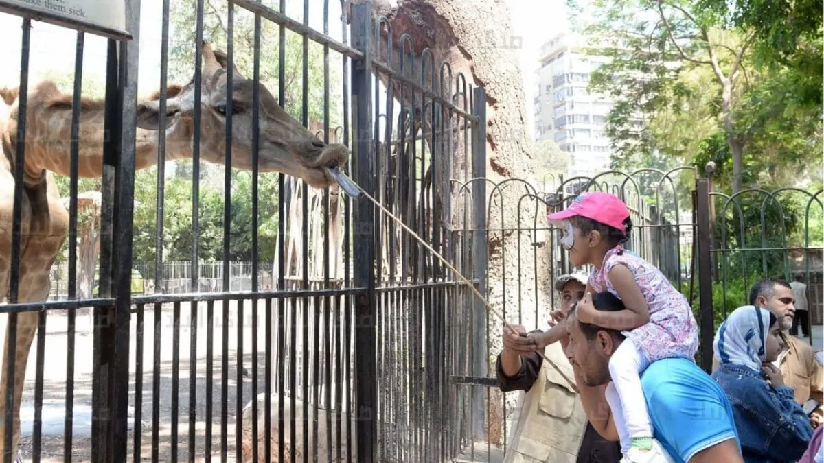 افتتاح حديقة الحيوان بالجيزة