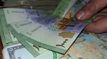 سعر الدولار في مصرف سوريا المركزي يستقر عند 12075 ليرة